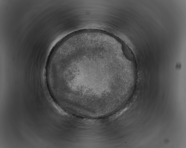 X0000100780928200807171439