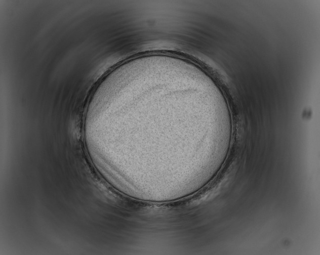 X0000100780929200807171439