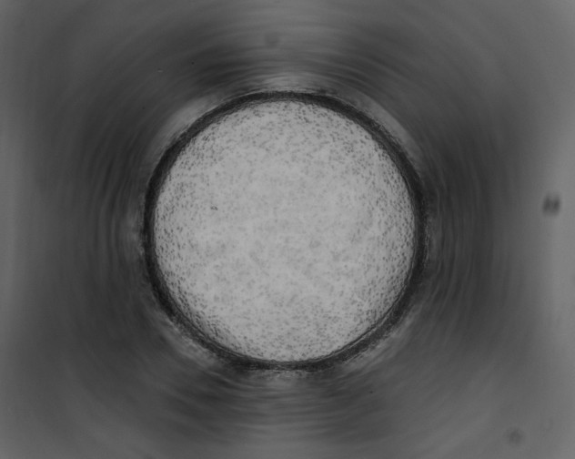 X0000100780930200807171439