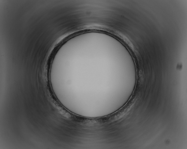 X0000100780931200807171439