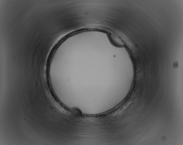X0000100780932200807171439