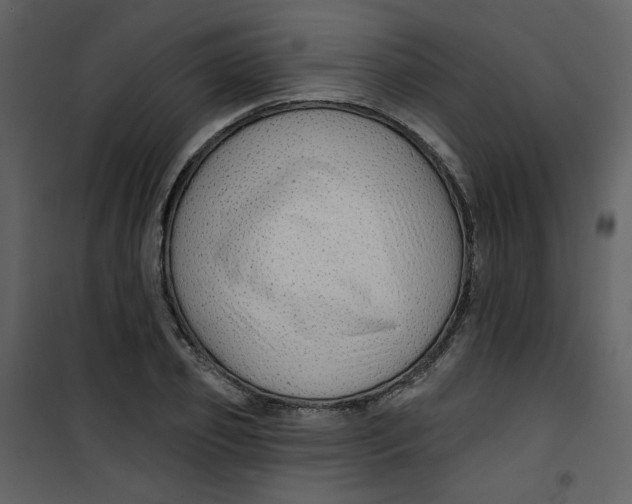 X0000100780933200807171439