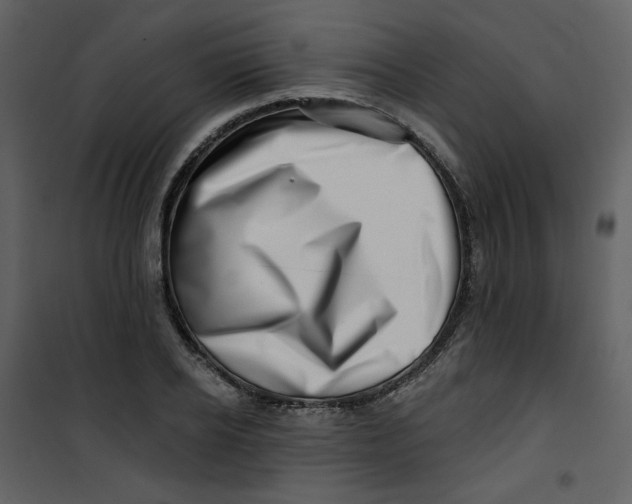 X0000100780934200807171439