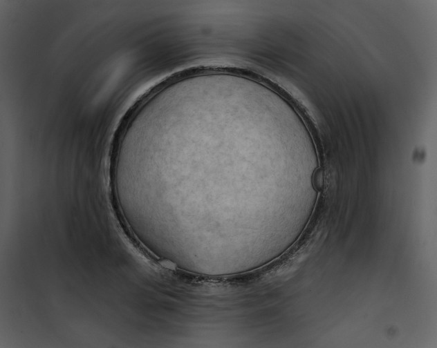X0000100780935200807171439