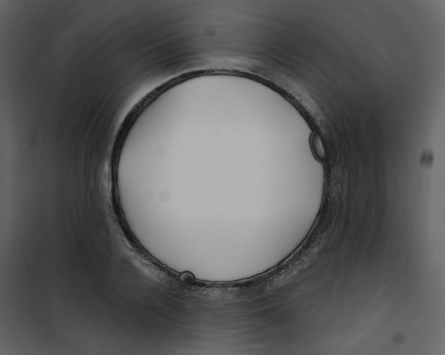 X0000100780936200807171439