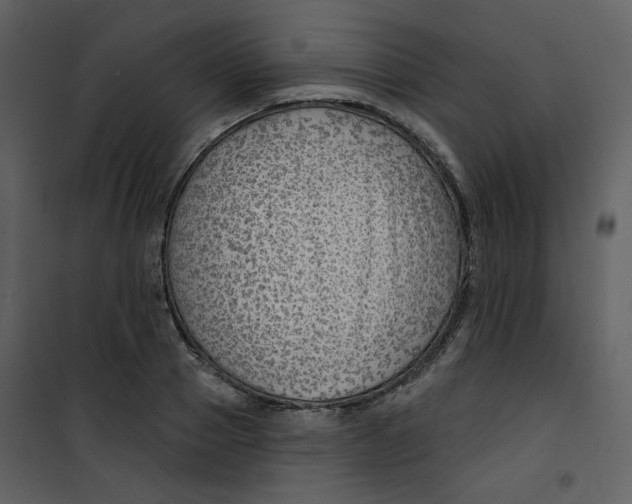 X0000100780937200807171439