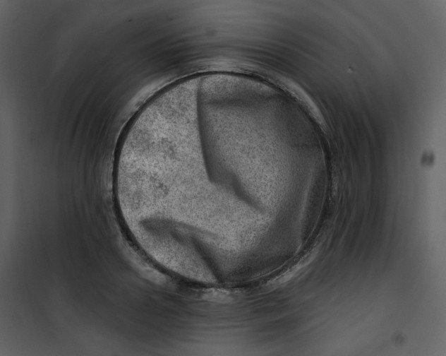 X0000100780938200807171439