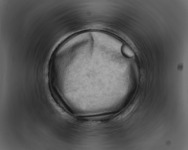 X0000100780939200807171439