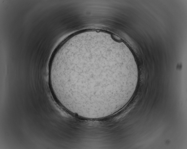 X0000100780940200807171439