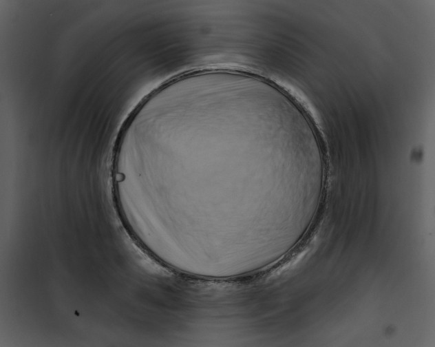 X0000100780941200807171439