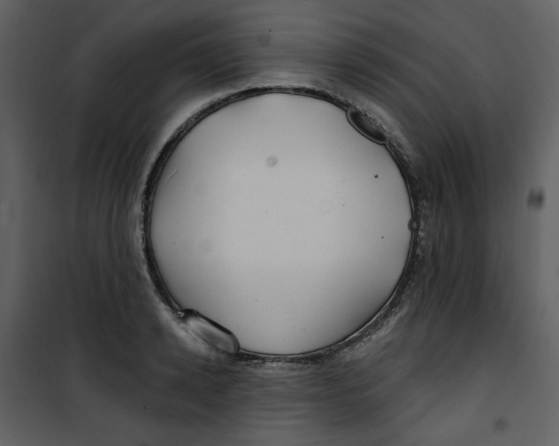 X0000100780942200807171439