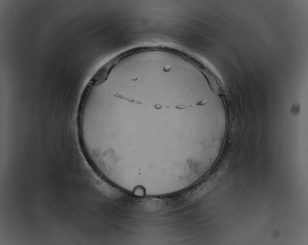 X0000100780943200807171439