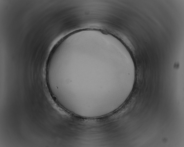 X0000100780944200807171439
