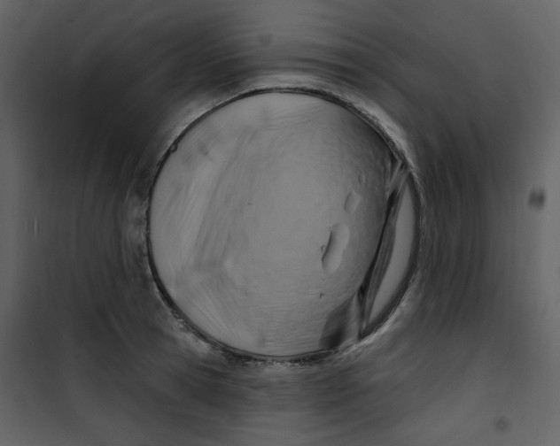 X0000100780945200807171439