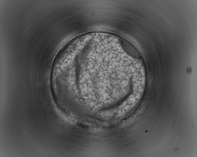 X0000100780946200807171439