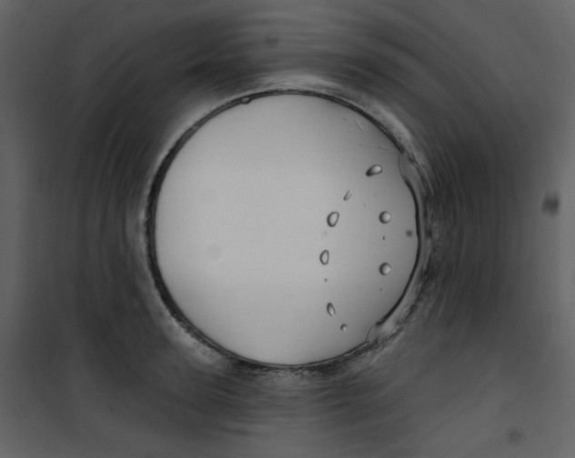 X0000100780947200807171439