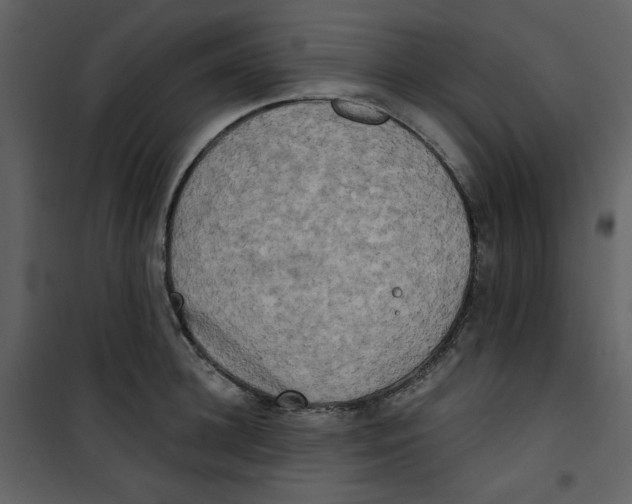 X0000100780948200807171439