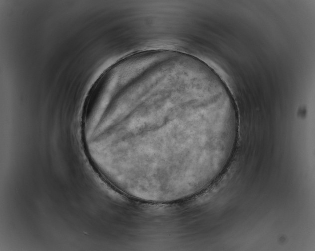 X0000100780949200807171439