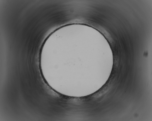 X0000100780950200807171439