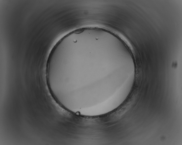 X0000100780951200807171439