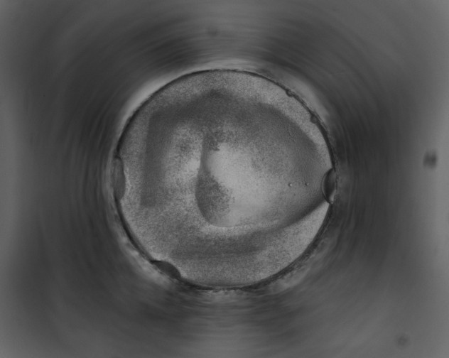 X0000100780952200807171439
