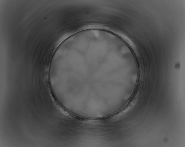 X0000100780953200807171439