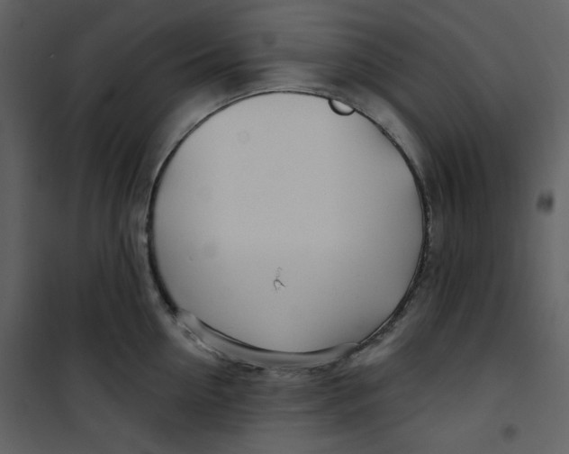 X0000100780954200807171439