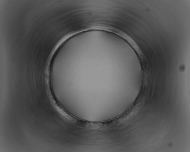 X0000100780955200807171439