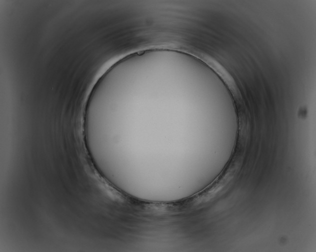 X0000100780956200807171439