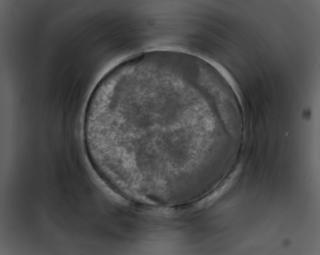 X0000100780957200807171439