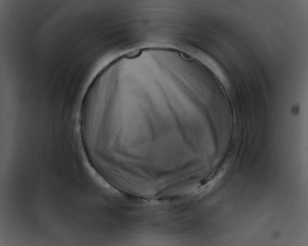 X0000100780958200807171439