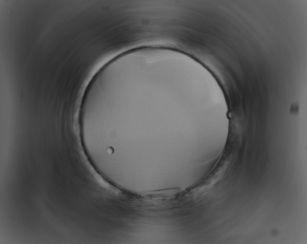 X0000100780959200807171439