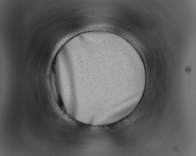 X0000100780960200807171439
