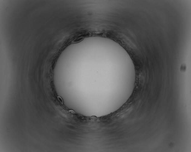 X0000100780961200807171438