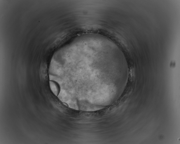 X0000100780963200807171438