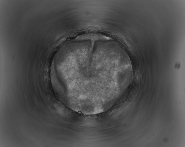 X0000100780964200807171438