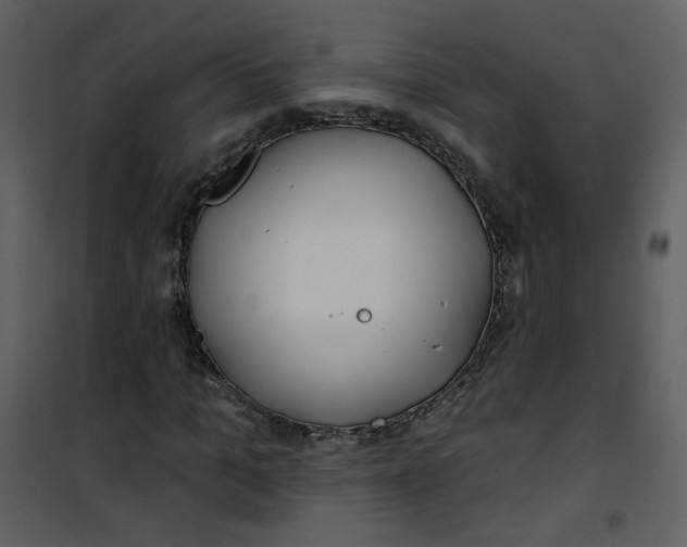 X0000100780965200807171438