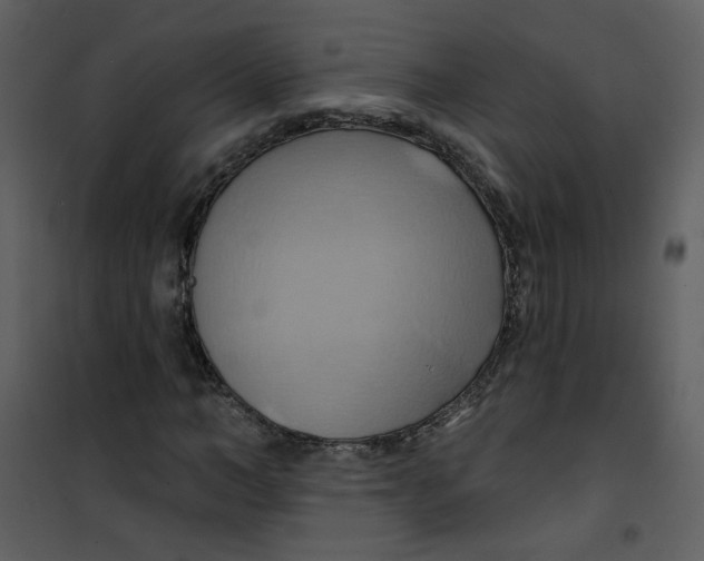 X0000100780966200807171438