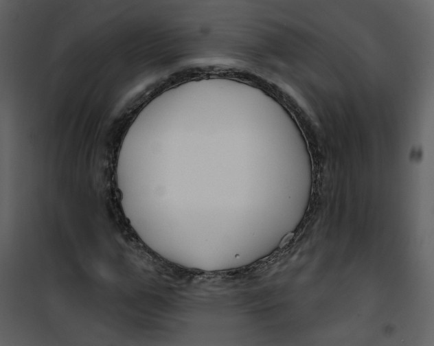 X0000100780967200807171438