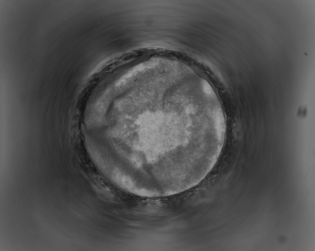 X0000100780968200807171438