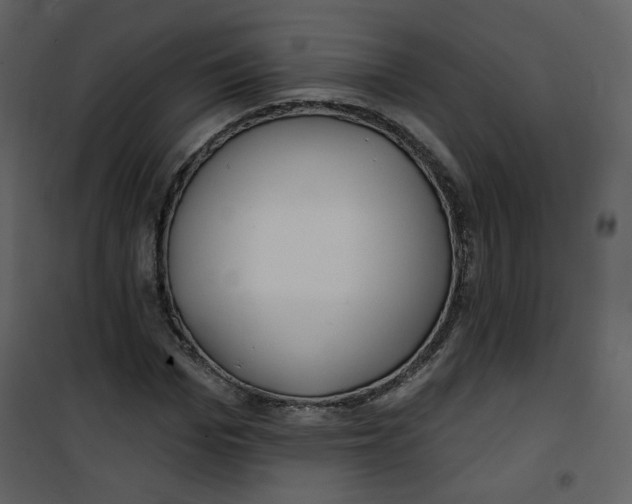 X0000100780969200807171438