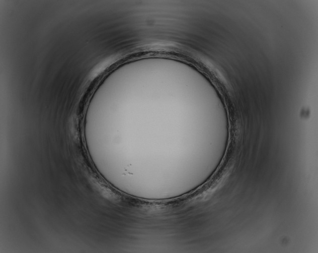 X0000100780970200807171438