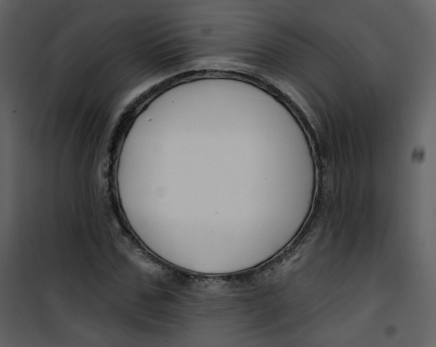 X0000100780971200807171438