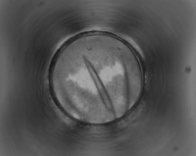 X0000100780972200807171438