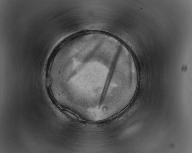 X0000100780976200807171438