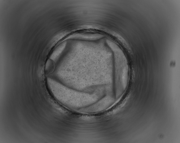 X0000100780977200807171438