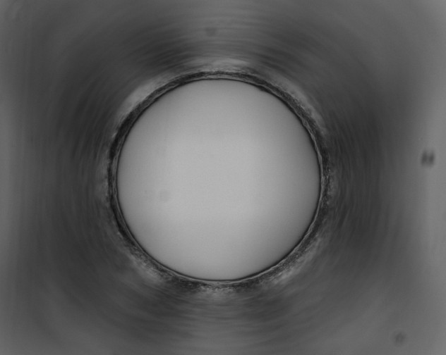 X0000100780978200807171438
