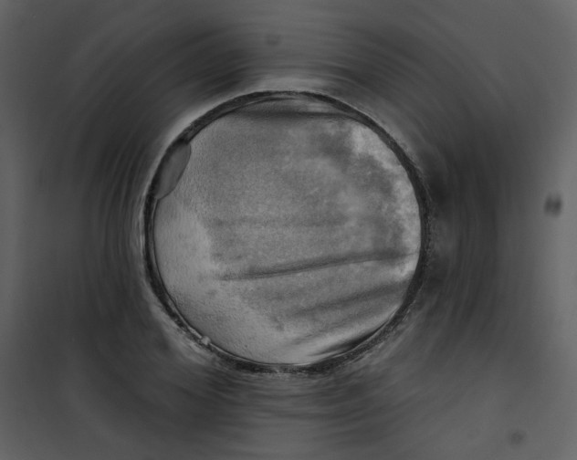 X0000100780980200807171438