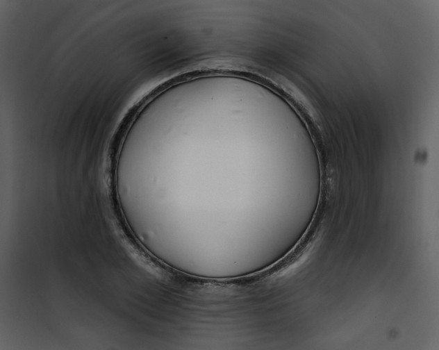 X0000100780981200807171438