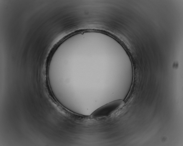 X0000100780982200807171438
